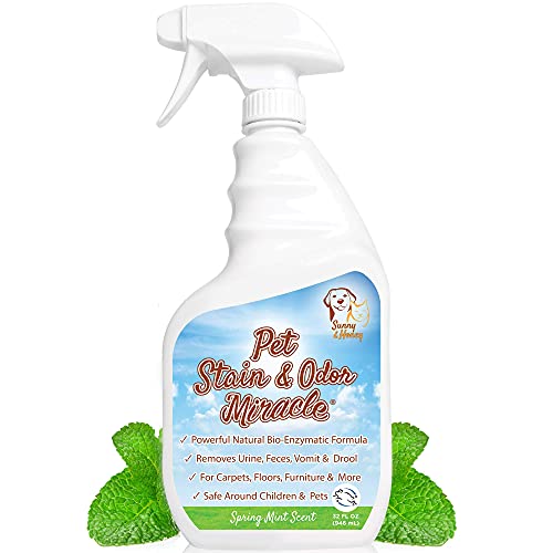 Sunny & Honey Pet Stain & Odor Miracle - Enzyme Cleaner for Dog Urine Cat Pee Feces Vomit, Enzymatic Solution Cleans Carpet Rug Car Upholstery Couch Mattress Furniture, Natural Eliminator (32FL OZ)