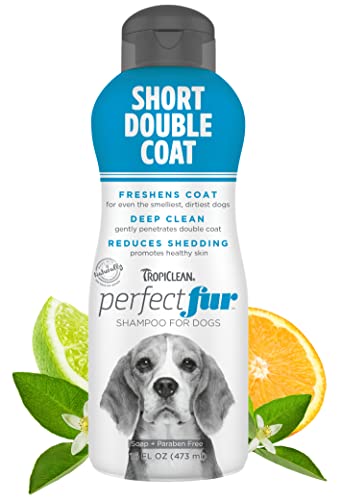 TropiClean Perfect Fur Dog Shampoo for Shedding Control for All Breeds with A Short Double Coat, 16 Ounce