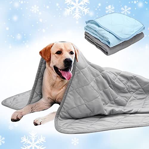 ULIGOTA Dog Cooling Blanket 22"x28" (2Pack) Lightweight Self Cooling Pad for Kennel Sofa,Ice Silk Cooling Bed Cover for Dog Cat Summer Blanket Light Cooling Dog Throw Blanket
