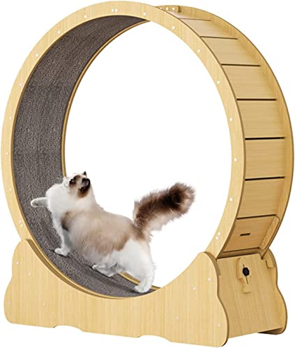 VOTZT Cat Wheel, Cat Treadmill, Exercise Wheel, Cute Cat Furniture, Pet Toy, Cat Toy, Cats Loss Weight Device（New）