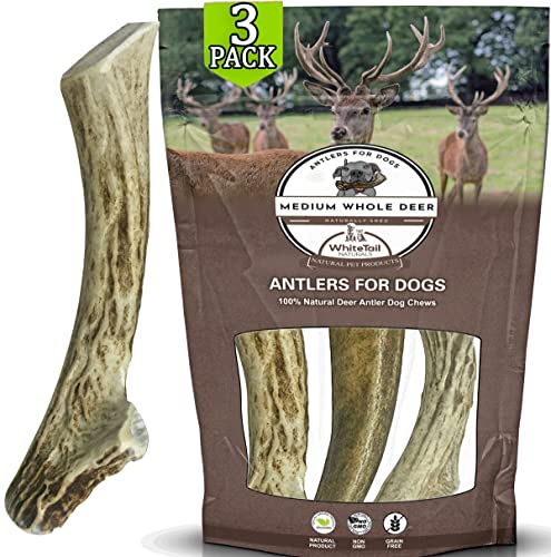 WhiteTail Naturals | 3 Pack Medium | Deer Antler Dog Chews | All Natural Organic Antlers for Dogs | Long Lasting Antler Bones for Dogs | Durable Antler Dog Toy