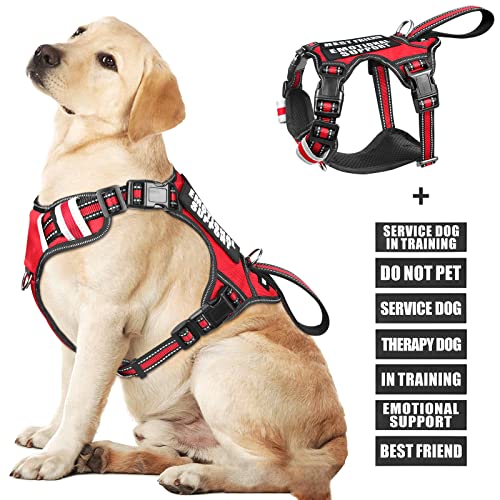 WINSEE Service Dog Vest No Pull Dog Harness with 7 Dog Patches, Reflective Pet Harness with Durable Soft Padded Handle for Training Small, Medium, Large, and Extra-Large Dogs (Large, Red)