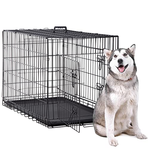 XL Large Dog Crate 42 Inch Folding Dog Cage Metal Wire Crates Pet Animal Segregation Cage Crate for Golden Retriever, Pitbull with Bottom Tray, Double-Door, Handle