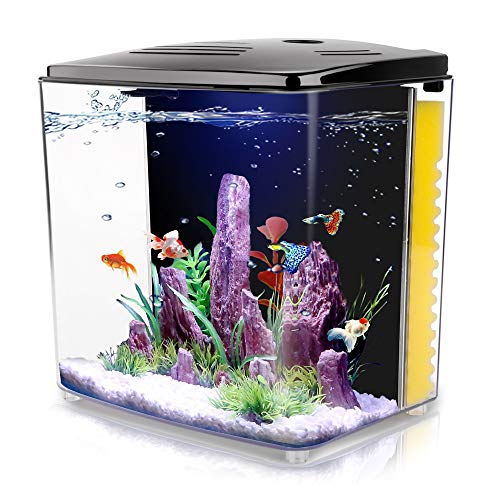 1.2Gallon Betta Aquarium Starter Kits Square Fish Tank with LED Light and Filter Pump