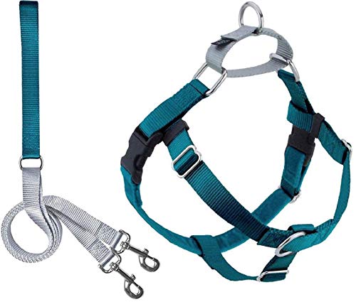 2 Hounds Design Freedom No Pull Dog Harness | Adjustable Gentle Comfortable Control for Easy Dog Walking |for Small Medium and Large Dogs | Made in USA | Leash Included | 1" LG Teal