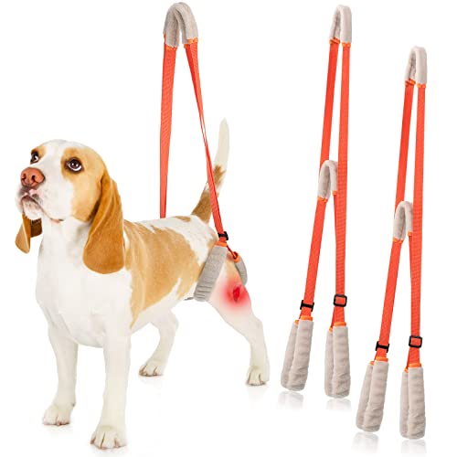 2 Pcs Dog Support Harness for Back Legs Dog Rear Lifting Sling Aid with Handle and Shoulder Strap Hind Leg Support for Pet Mobility Helps Dogs with Poor Stability, Arthritis, Joint Injuries (Orange)