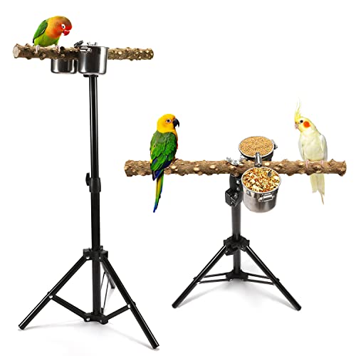 Adjustable Height Bird Perch Stand 43 INCH Parrot Training Perches Metal Bird Play Stand with Feeding Bowls for Small Birds Indoor and Outdoor