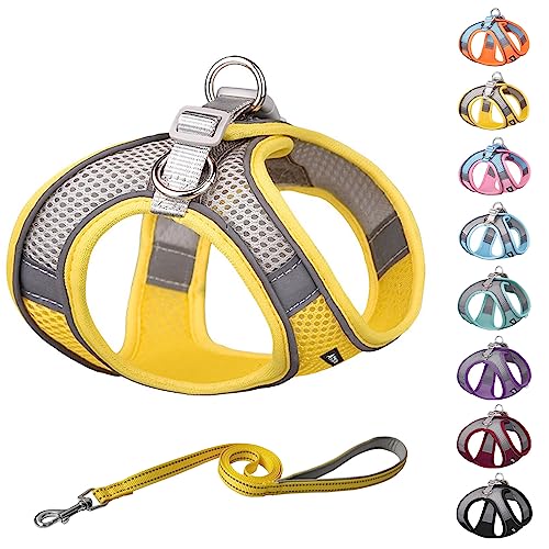AIITLE Dog Harness, Summer No-Pull Pet Harness with a Leash, Adjustable Soft Padded Dog Vest, Reflective Outdoor Pet Vest for Extra Small Dogs and House Cats Yellow XXXS