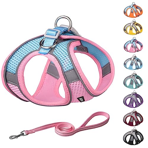 AIITLE Step in Dog Harness and Leash Set - Summer Dog Vest Harness with Super Breathable Mesh, Reflective No-Pull Pet Harness for Outdoor Walking, Training for Small Dogs, Cats Pink XXS