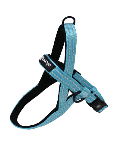 Alcott Norwegian Harness, Blue, Large