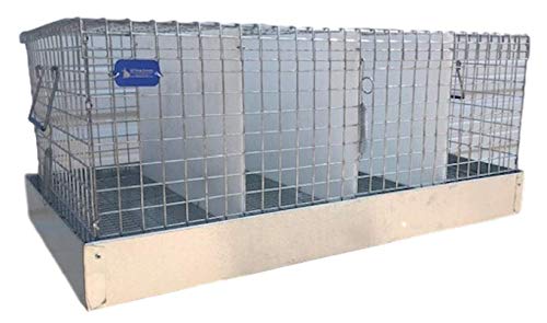 All Things Bunnies Rabbit Carrier/Transport Cage - 4 Hole (12x24x10)