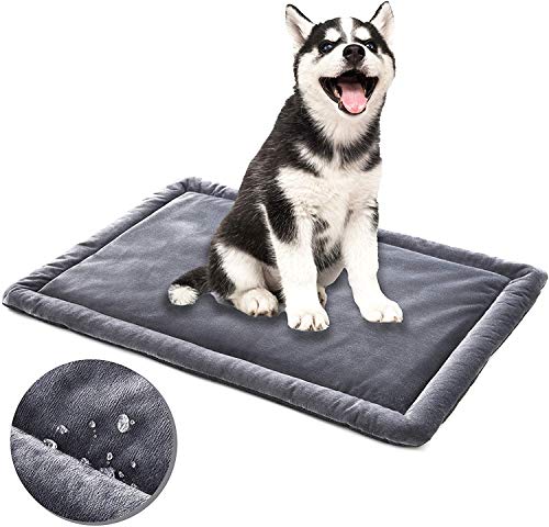 Non Chewable Dog Bed 2024 - Vet Ranch - We Love Pets