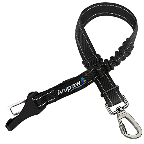 Double Dog Seat Belt 2023 - Vet Ranch - We Love Pets