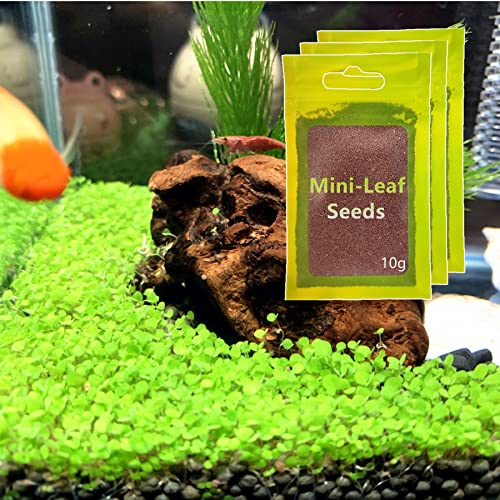 Aquarium Live Plant Seeds, Water Grass Seeds 30g Mini Leaf Small Pearl for Fish Tank Terrarium Aquatic Dwarf Carpet Decor Decoration AAA