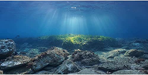 AWERT Ocean Floor Fish Tank Background Underwater Stone Aquarium Background 48x24 inches Vinyl