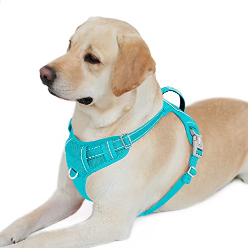 BARKBAY No Pull Dog Harness Front Clip Heavy Duty Reflective Easy Control Handle for Large Dog Walking with ID tag Pocket(Ocean Blue,L)