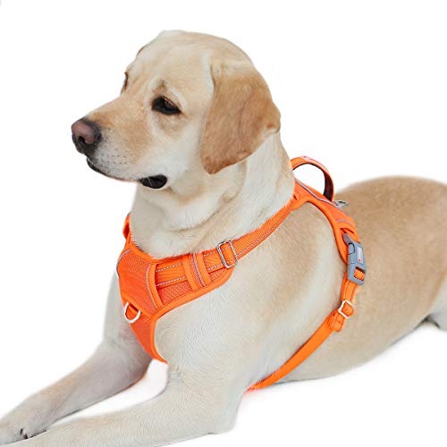 BARKBAY No Pull Dog Harness Front Clip Heavy Duty Reflective Easy Control Handle for Large Dog Walking with ID tag Pocket(Orange,L)