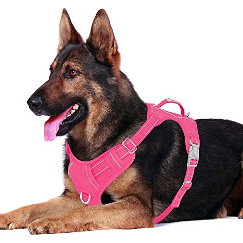 BARKBAY No Pull Dog Harness Front Clip Heavy Duty Reflective Easy Control Handle for Large Dog Walking with ID tag Pocket(Pink,XL)