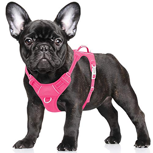 BARKBAY No Pull Dog Harness Large Step in Reflective Dog Harness with Front Clip and Easy Control Handle for Walking Training Running with ID tag Pocket(Pink,S)