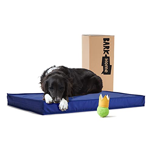 Barkbox - Outdoor Dog Bed - Waterproof Dog or Cat Mattress Bed with Removable Cover - Platform Bed with Washable Cover, Durable, Portable - Indoor/Outdoor All Season Orthopedic Comfort - Large - Blue