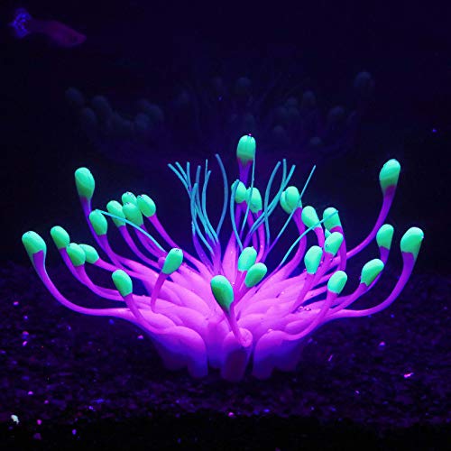 Bluecoco Soft Silica Gel Moves Naturally with Water Flow, Aquarium Decorations Glow in The Dark, Glowing Coral Ornaments for Fish Tank Decorations (Purple, Equinox)