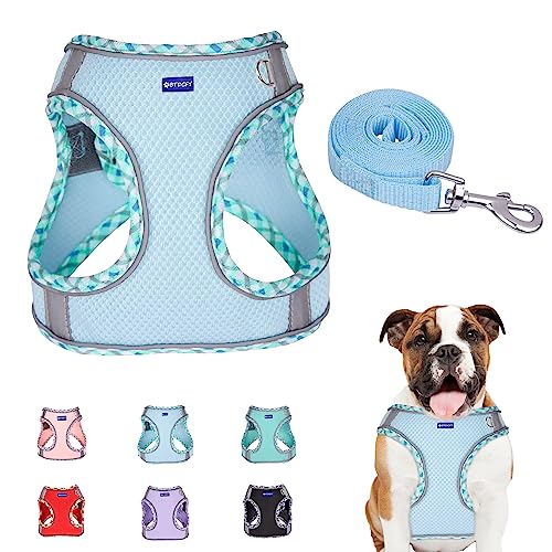 BTDCFY Step in Mesh Dog Harness and Leash Set Breathable Air Mesh Reflective Escape Proof Dog Harness Vest No Choke Lightweight Mesh Dog Harness