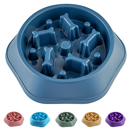 CAISHOW Slow Feeder Dog Bowl Anti Gulping Healthy Eating Interactive Bloat Stop Fun Alternative Non Slip Dog Slow Food Feeding Pet Bowl Slow Eating Healthy Design for Small Medium Size Dogs（Blue，Bone