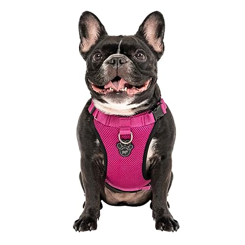 Canada Pooch Pink Everything Dog Harness, Medium