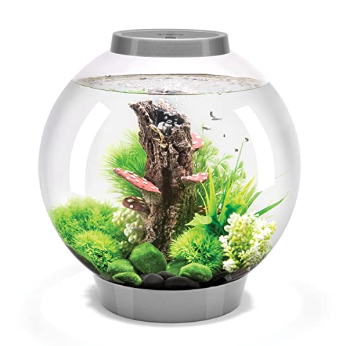 Classic 30 Aquarium with Standard Light - 8 Gallon, Silver