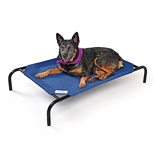 COOLAROO The Original Cooling Elevated Dog Bed, Indoor and Outdoor, Medium, Aquatic Blue