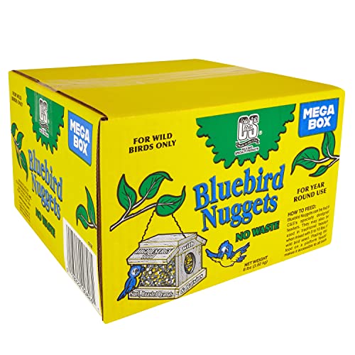 C&S Wild Bird Bluebird Suet Nuggets Mega Box, 8 Pounds