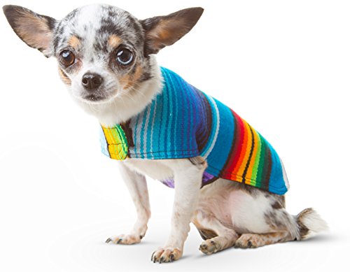 Dog Clothes - Handmade Dog Poncho - Cinco De Mayo Chihuahua Costume from Authentic Mexican Blanket (Blue, XXS)