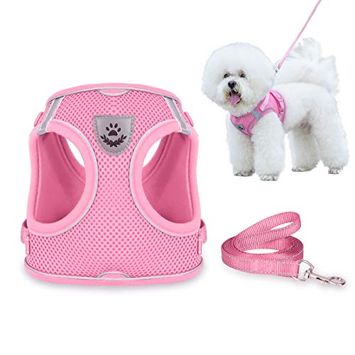 Dog Harness and Leash Set for Walking, Escape Proof Vest Harness with Soft Mesh, Adjustable Strap, Reflective Strips for Kitten Cats and Puppy Dogs