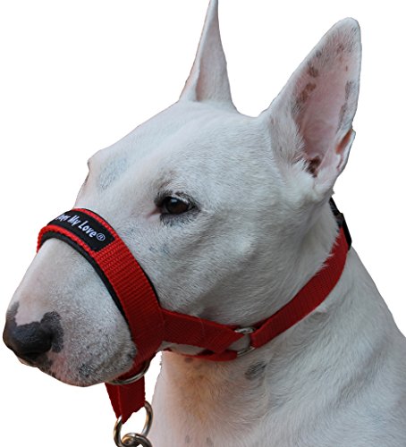 Dog Head Collar Halter Red 6 Sizes (M: 8.25"-10.25" Snout)