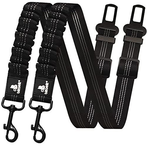 Best Dog Car Seat Belt 2024 - Vet Ranch - We Love Pets