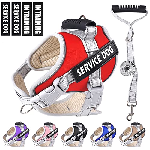 Dogmify Service Dog Vest,No Pull in Training Service Dog Harness and 5FT Dog Leash Set, Adjustable 3M Reflective Nylon Pet Dog Vest with Handle,Easy Control for Small Medium Large Dogs(XS,Red)