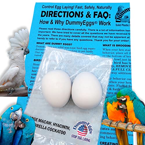 DummyEggs Large Parrot Dummy Eggs Control Breeding & Laying! Realistic Macaw, Hyacinth, Cockatoo. Solid Non-Toxic Premium Plastic Fake Bird Eggs. 1-7/8" x 1-1/2" (4.8 x 3.8cm) USA (Set of 2)