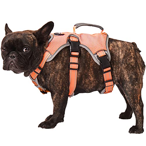 Escape Proof Dog Harness, Escape Artist Harness, Fully Reflective Harness with Padded Handle, Breathable,Durable, Adjustable Vest for Small Dogs Walking, Training, and Running Gear Orange (Small)