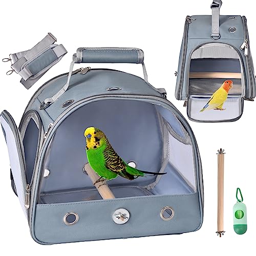 FCQQYWZ Bird Travel Carrier Portable Pet Bird Travel Cage Bird Travel Carrier with Standing Perch, Transparent Travel Carrier Cage for Parrots, Parrots Canaries Budgies Parrotlets(Blue)