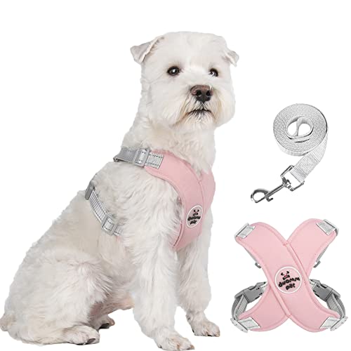 FEimaX Dog Harness Pet X Frame No Pull Step-in Harnesses with Leash Set, Adjustable Reflective Choke Free Puppy with Padded Vest for Small, Medium Dogs and Cats Walking Training (Pink, Small)