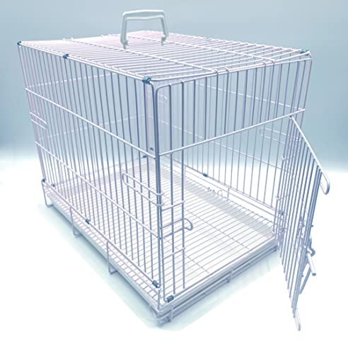 Foldable Carrier Travel Vet Breeder Training Cage for Puppy Kitten Rabbit Bunny with 1/2-Inch Raised Bottom Wire Grid Mesh Floor (20" x 13" x 16"H, White)