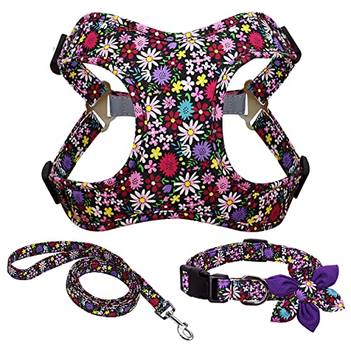 Forestpaw Multi-Colored Dog Vest Harness Collar Leash Set,No Pull Adjustable Reflective Step in Vest Harness and Collar for Small Medium Large Dogs,Purple Fits Chest 17-20”