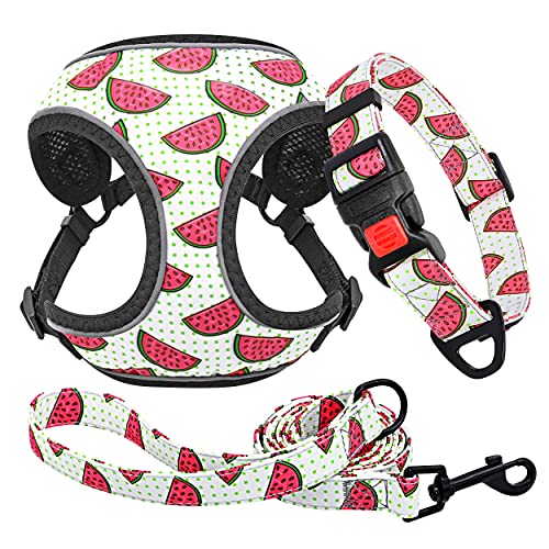 Forestpaw Multi-Colored Reflective Cat Dog Vest Harness and Leash Set for Small,Puppy Personalized Dog Harness,Watermelon Red,XS