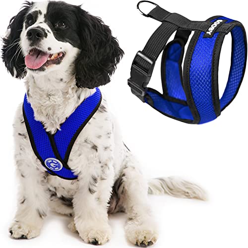 Gooby Comfort X Head In Harness - Blue, Medium - No Pull Small Dog Harness, Patented Choke-Free X Frame - Perfect on the Go Dog Harness for Medium Dogs No Pull or Small Dogs for Indoor and Outdoor Use