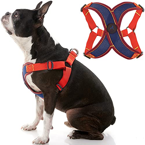 Gooby Comfort X Step in Harness V2 - X-Large, Navy(Red) - No Pull Small Dog Harness with Patented Adjusting Choke-Free X Frame - Perfect on The Go Dog Harness for Medium Dogs No Pull and Small Dogs