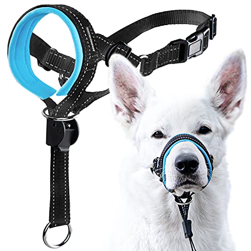 GoodBoy Dog Head Halter with Safety Strap - Stops Heavy Pulling On The Leash - Padded Headcollar for Small Medium and Large Dog Sizes - Head Collar Training Guide Included (Size 2, Blue)