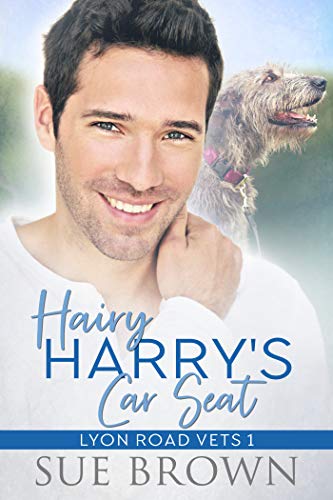 Hairy Harry's Car Seat: an Out For You Gay Romance (Lyon Road Vets Book 1)