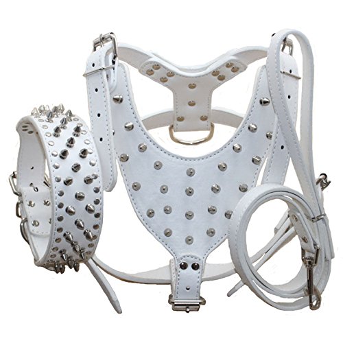 Haoyueer Leather Spiked Studded Medium & Large Dog Collars, Harnesses & Leashes 3Pcs Matching Set for Pit Bull,Mastiff, Boxer, Bull Terrier(White,XL)