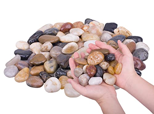 HOT SEAL 1.9 lb Mixed Color River Rock Stones 1~1.5", Natural Decorative Highly Polished Pebbles, Outdoor Decorative Stones for Plant, Aquariums, Landscaping, Garden Flower Bed, Vase Fillers
