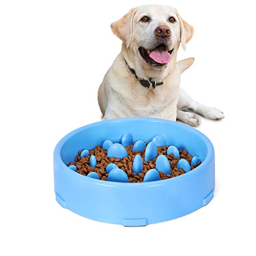 JASGOOD Slow Feeder Dog Bowl for Medium Dogs Slow Feeding Interactive Bloat Stop Dog Bowls,Blue,Medium